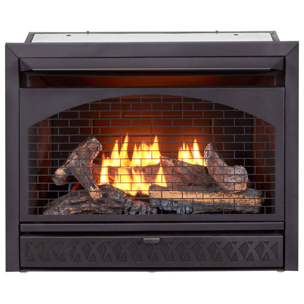 29.1'' W Ventless Fireplace Insert & Reviews Wayfair